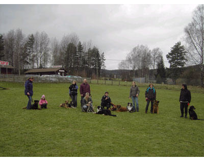 Kundenfoto 4 Hundeschule Villa Vista Andrea Gilch