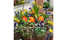 Kundenbild groß 1 Nadine's Blumentöpfle | Blumenladen in Ilsfeld & Umgebung