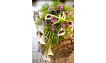 Kundenbild groß 10 Blumen Schmidt -Iris Höllein- Floristin
