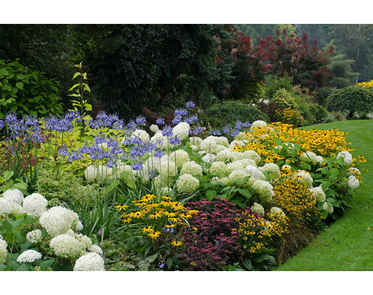 Kundenfoto 1 Korpala Garten- und Landschaftsbau