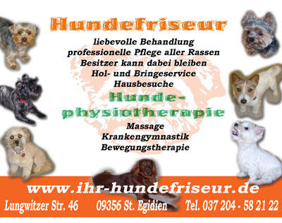 Kundenfoto 1 www.ihr-hundefriseur.de Hundefriseur
