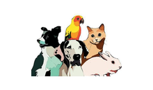 Kundenbild groß 1 Tierarztpraxis Dr. Danzl