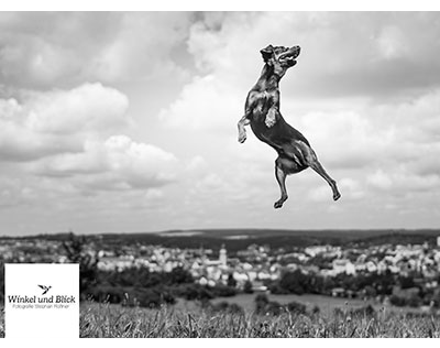 Kundenfoto 6 Roßner Stephan Fotografie Winkel und Blick