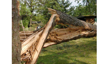 Kundenbild groß 10 Tharang André Baum-Haus-Service