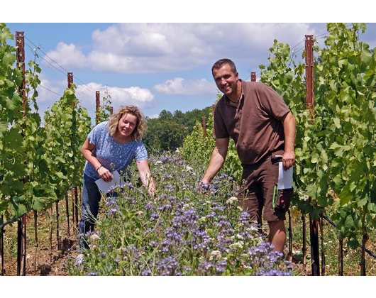 Kundenfoto 6 Schmitt Weingut