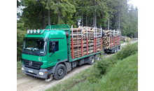 Kundenbild groß 1 Schaarschmidt Mario Holztransport- & handel