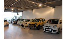 Kundenbild groß 1 Fiat Autohaus Roll