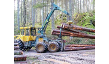 Kundenbild groß 2 Tritschler Axel Forstbetrieb