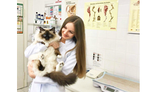 Kundenbild groß 1 Peresada Igor Tierarzt Weismain