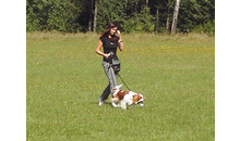 Kundenbild groß 5 Hundeschule Villa Vista Andrea Gilch