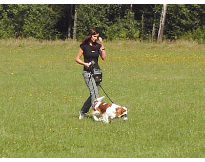 Kundenfoto 5 Hundeschule Villa Vista Andrea Gilch