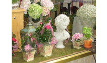 Kundenbild groß 3 Blumen Irmis Blumenhain Inh. Irmgard Wagner