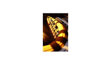 Kundenbild groß 5 MW Datentechnik GmbH