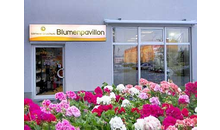 Kundenbild groß 4 Blumenpavillon Miller Gärtnerei