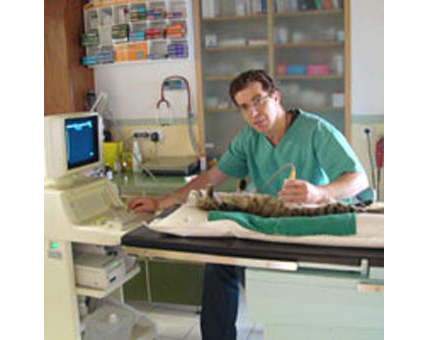 Kundenfoto 7 Tierarztpraxis Dr. Shay Soriano