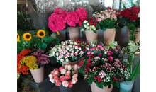 Kundenbild groß 4 Ginkgo Blumen & Geschenke Inh. Silvia Pfister