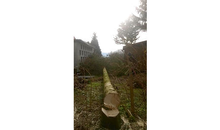 Kundenbild groß 2 Seitz Christoph Baumfällung