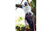 Kundenbild groß 1 Schauder Franz