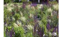 Kundenbild groß 3 POHL GARTEN- UND LANDSCHAFTSBAU