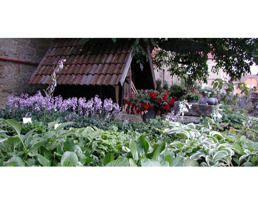 Kundenfoto 9 Schramm Roland Dipl.-Ing. (FH) Gartenbau GRUEN & MEHR u. Planungsbüro f. Freianlagen