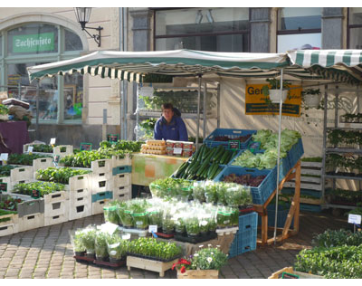 Kundenfoto 1 Gärtnerei Entrich GbR Inh. Udo & Silvio Entrich Gartenbau/ Gärtnerei