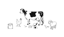 Kundenbild groß 1 Bauer's Futter-Shop