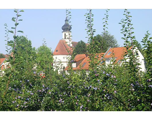 Kundenfoto 8 Stadtverwaltung Bühl