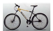 Kundenbild groß 5 Fahrrad - Griesmann