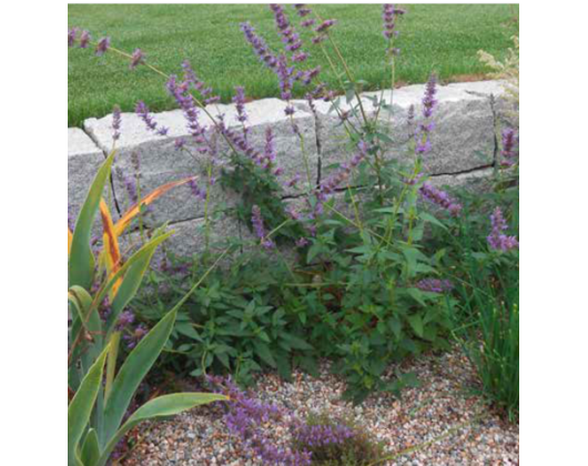 Kundenfoto 1 Anetzberger GbR Gartengestaltung Floristik