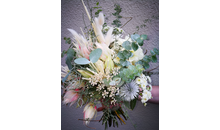 Kundenbild groß 7 Stephanie v.d. Warth-Weber Blumen