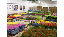 Kundenbild groß 6 Blumenring Plauen