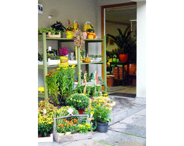 Kundenfoto 6 Anlauf Punkt Florale Gestaltung