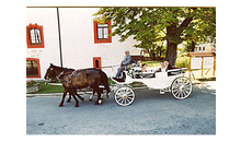 Kundenbild groß 2 König Pension