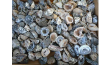 Kundenbild groß 4 Kraft des Steines