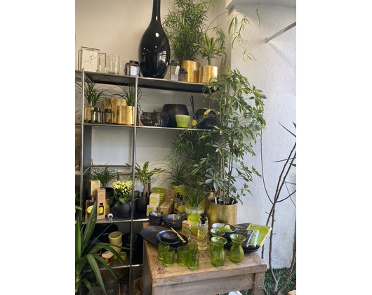 Kundenfoto 8 Schöner Schenken Inh. Susanne Lother - Blumen und Geschenkartikel