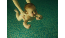 Kundenbild groß 6 Elterninitiative Babyschwimmen E.V.