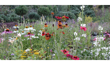 Kundenbild groß 8 Schramm Roland Dipl.-Ing. (FH) Gartenbau GRUEN & MEHR u. Planungsbüro f. Freianlagen