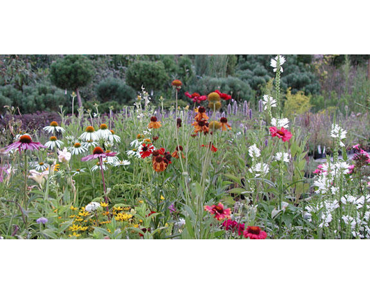 Kundenfoto 8 Schramm Roland Dipl.-Ing. (FH) Gartenbau GRUEN & MEHR u. Planungsbüro f. Freianlagen