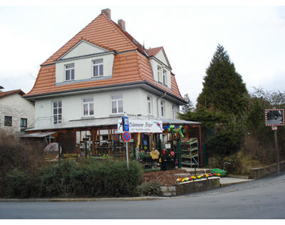 Kundenfoto 1 BLUMEN TRIER, Loßner A.