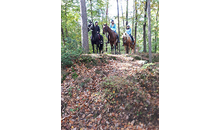 Kundenbild groß 3 Hockwin Silvia Reittouristik