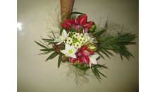 Kundenbild groß 4 Blumen Irmis Blumenhain Inh. Irmgard Wagner