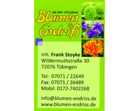 Kundenfoto 1 Blumen Endriss