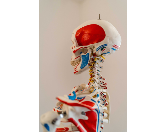 Kundenfoto 1 Osteopathie Studio - Babett Sachs
