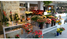 Kundenbild groß 2 Blumenstube Inh. R. Di Stefano