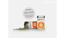 Kundenbild groß 3 Synergo Studio