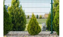 Kundenbild groß 1 Doppelstabmattenzaun 48