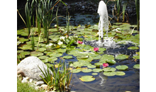 Kundenbild groß 5 Garten- u. Baumpflege Lorch, Inh. Stefan Lemmer