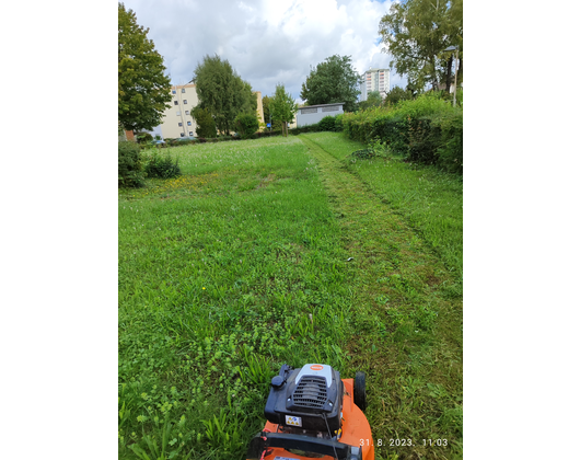 Kundenfoto 2 Cvijetic Hausmeisterservice