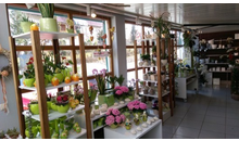 Kundenbild groß 4 Blumenstube Inh. R. Di Stefano