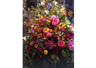 Eigentümer Bilder Pohlmann Eva Blumen Düsseldorf